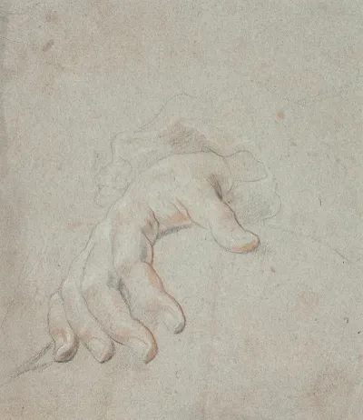 Studie Af En Hand