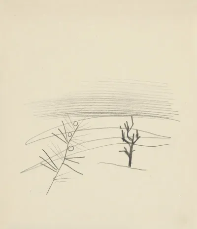Studie Stromov 7