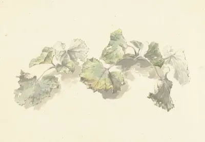 Studie Van Bladeren