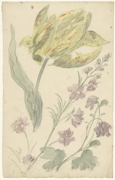 Studie Van Een Gele Tulp En Een Andere Plant