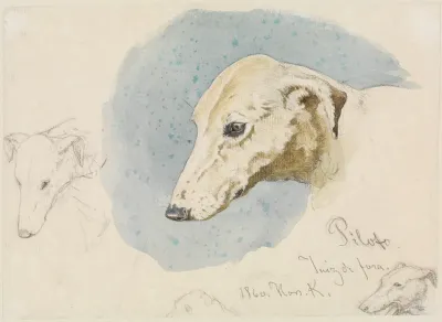 Studienblatt Mit Hundekopfen