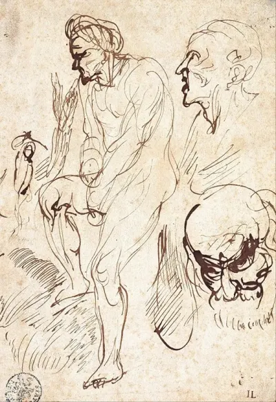 Studies After The Model