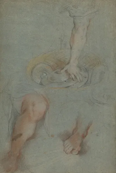 Studies For A Servant In The Last Supper
