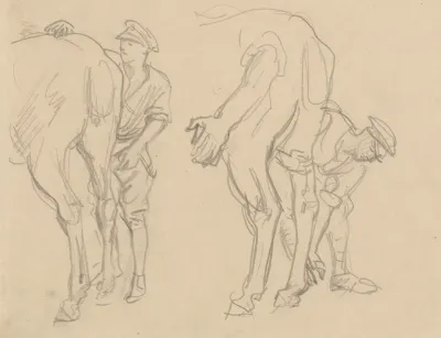 Studies For Scots Grey