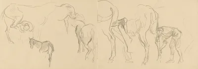 Studies For Shoeing Calvary Horses At The Front Recto