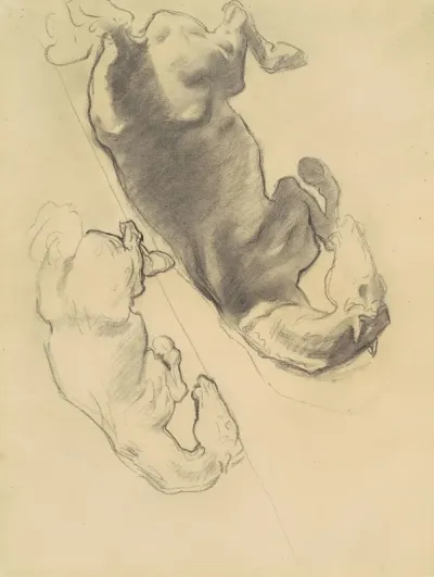 Studies For The Fall Of Gog And Magog Ii