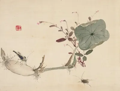 Studies From Nature Plants Fish And Birds Lotus Tuber With Insects