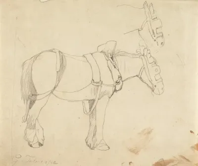 Studies Of A Carthorse