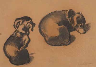 Studies Of A Dachshund 2
