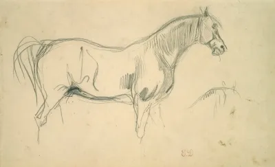 Studies Of A Horse In Profile