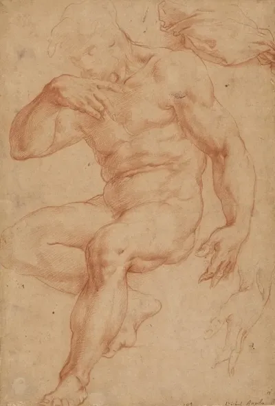 Studies Of A Male Nude A Drapery And A Hand