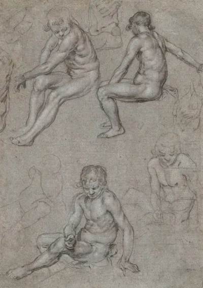 Studies Of A Naked Seated Boy