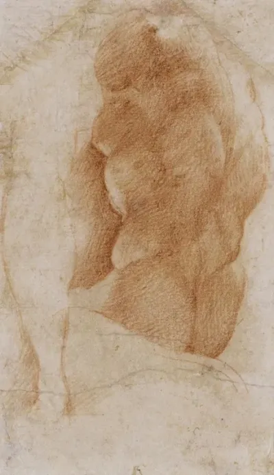 Studies Of A Nude Male Torso Seen From The Rear And A Leg