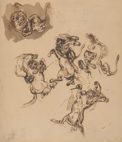 Studies Of A Rearing Horse Attacked By A Lion And A Lion Wrestling With A Serpent