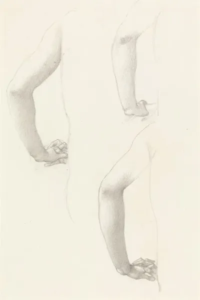 Studies Of An Arm And Hands