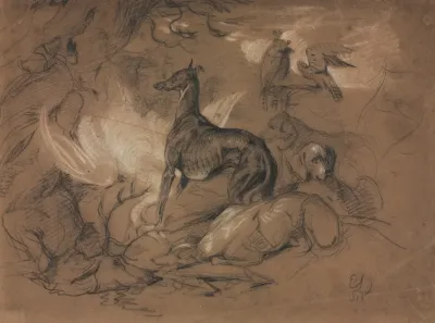 Studies Of Animals
