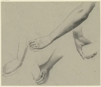 Studies Of Arms And Hands 2