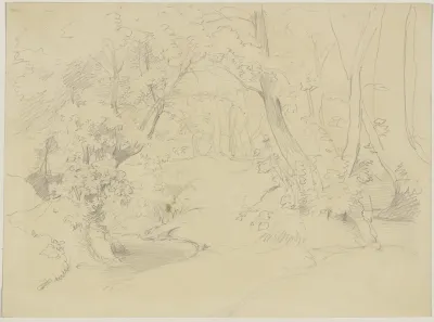 Studies Of Branches