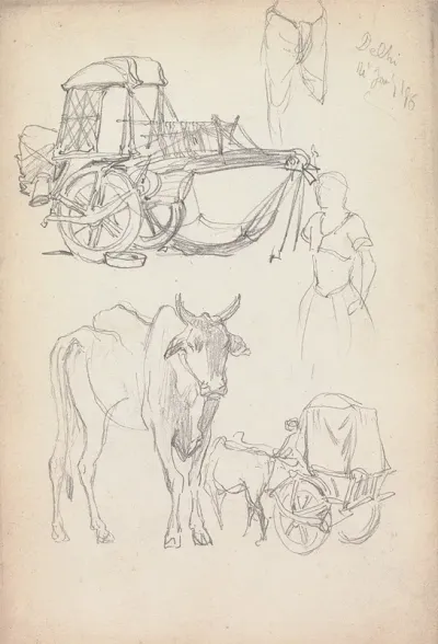Studies Of Bullock Carriages Delhi 14 January 1860