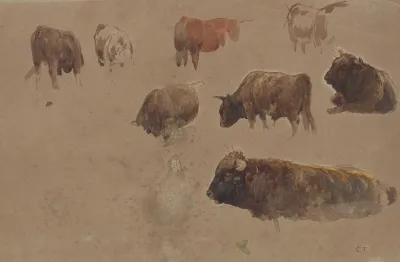 Studies Of Cattle 3