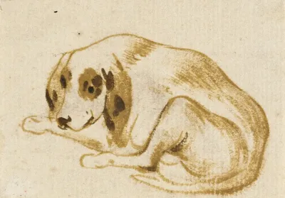 Studies Of Dogs 3