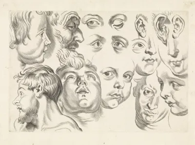 Studies Of Faces Eyes And Ears