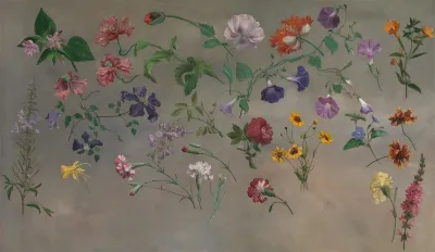 Studies Of Flowers