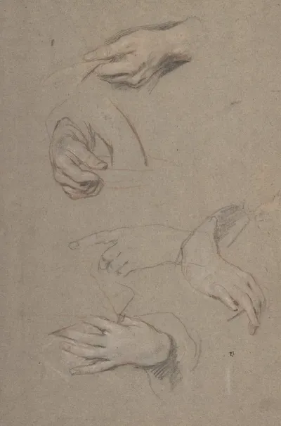 Studies Of Hands 4
