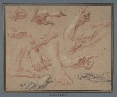 Studies Of Hands And Feet