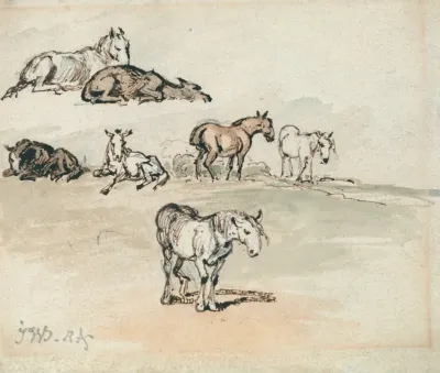 Studies Of Horses 2