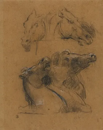 Studies Of Horses After The Elgin Marbles