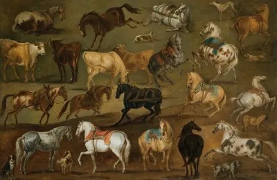 Studies Of Horses Cows And Dogs