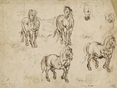 Studies Of Horses Recto