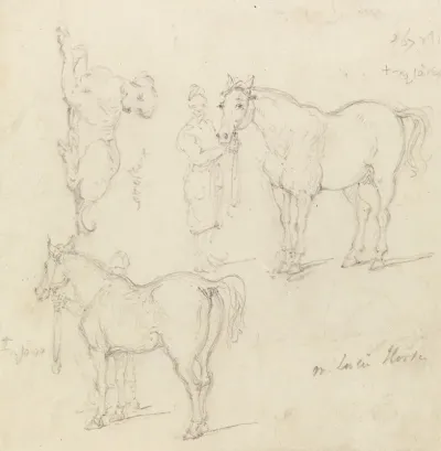 Studies Of Horses With Chinese Grooms And A Dog