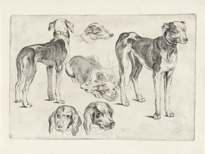 Studies Of Hounds 2