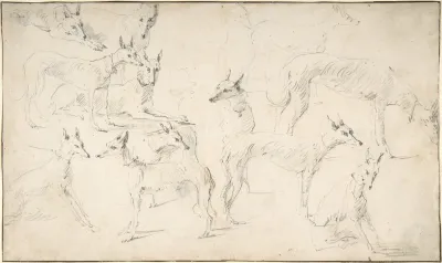 Studies Of Hounds
