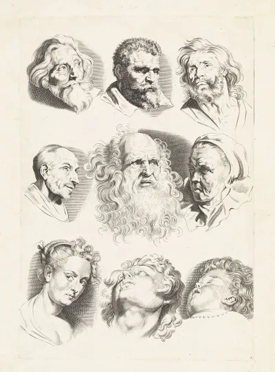 Studies Of Nine Heads