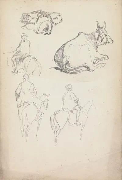 Studies Of Oxen And Equestrians