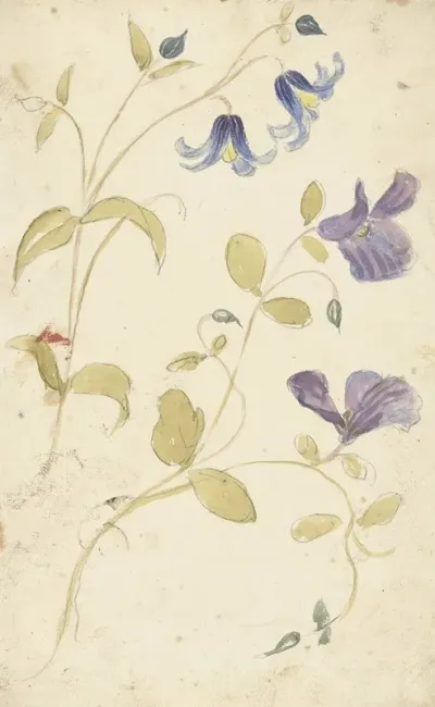 Studies Of Purple And Blue Flowers