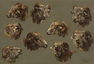 Studies Of Ram Heads