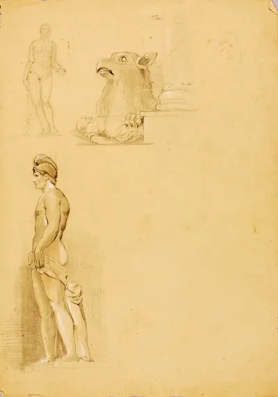 Studies Of Sculante