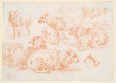 Studies Of Sheep 3