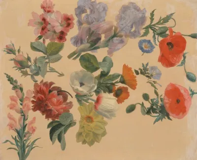 Studies Of Summer Flowers