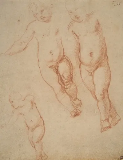 Studies Of The Christ Child