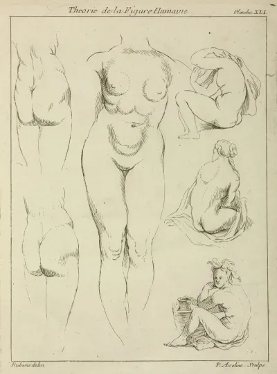 Studies Of The Female Torso Buttocks And Seated Figures Dorsal View