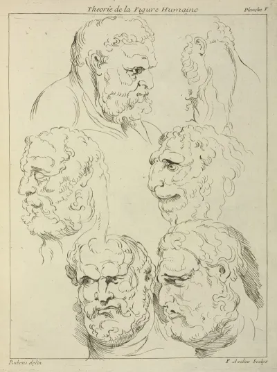 Studies Of The Head Of A Bearded Man And The Head Of A Creature