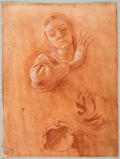 Studies Of The Virgin Drapery And The Hand Of Saint John The Baptist Holding A Shell