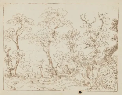 Studies Of Trees Landscape