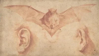 Studies Of Two Ears And Of A Bat