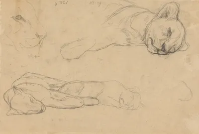 Studies Van Leeuwen 2